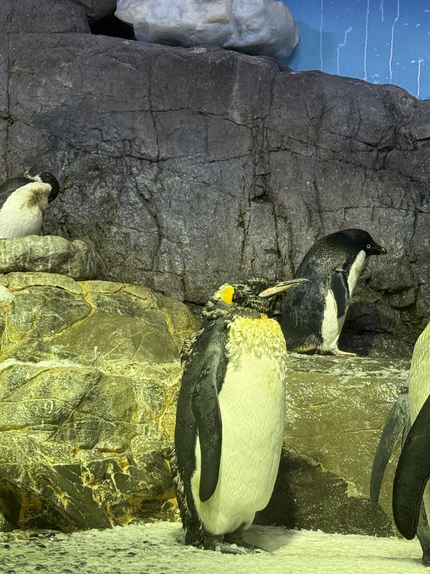 あっという間の６月でした