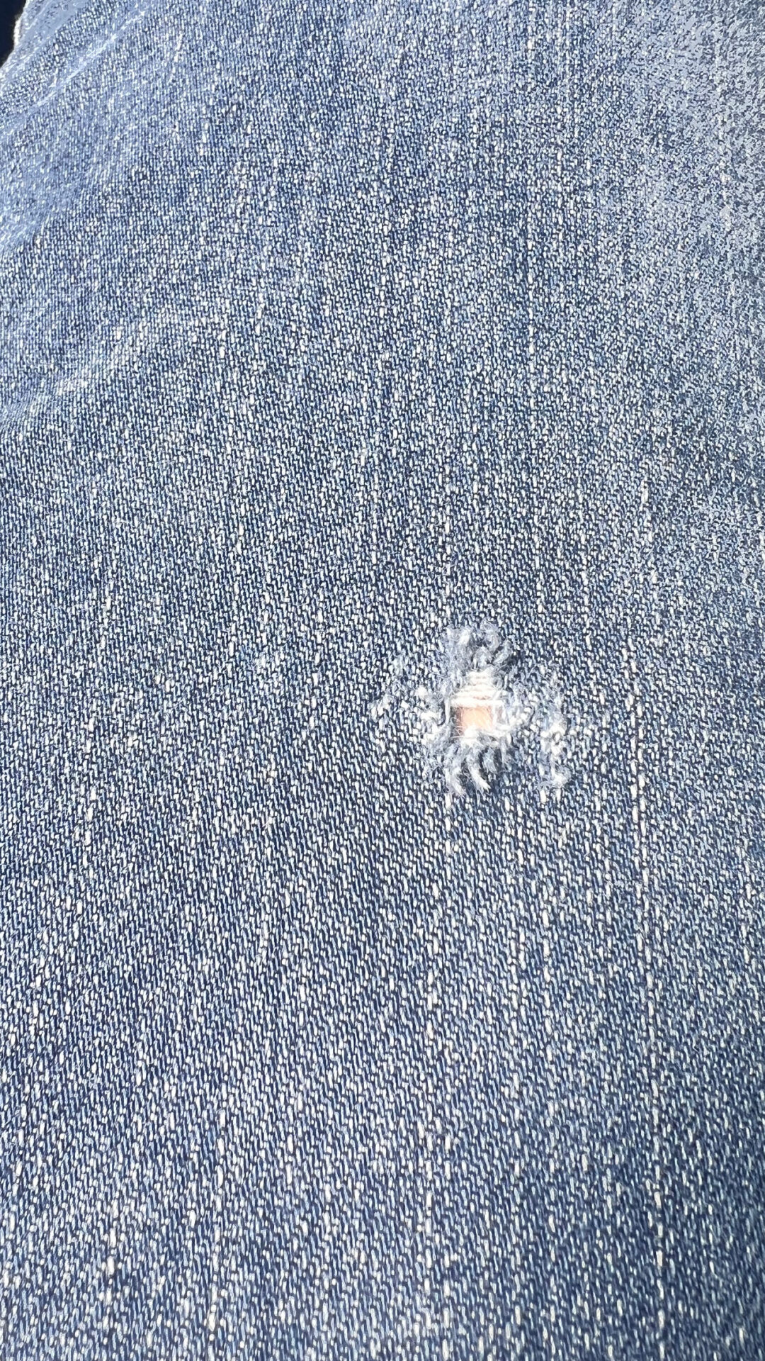 天才は努力する者に勝てず、